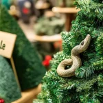 sapin noel naturel leclerc magasin prix